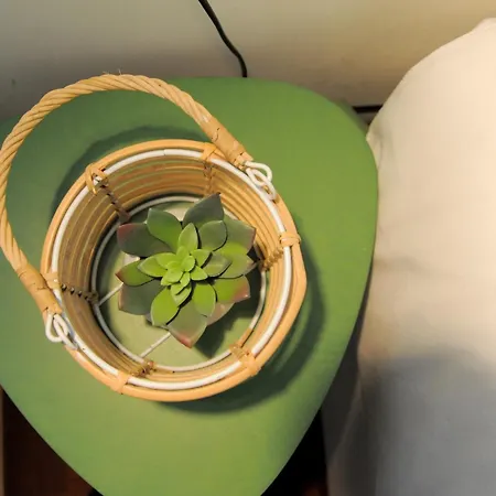 Center Mercado Do Bolhao Prime Location Jesuina E As 3 Janelas 포르투