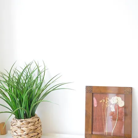 Center Mercado Do Bolhão Prime Location Jesuína E As 3 Janelas *