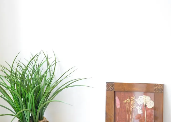 Center Mercado Do Bolhao Prime Location Jesuina E As 3 Janelas *