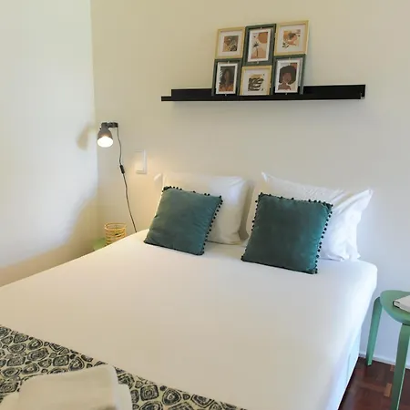 Center Mercado Do Bolhao Prime Location Jesuina E As 3 Janelas Appartement